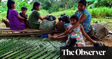 How Panamanian villagers were left at the mercy of a .